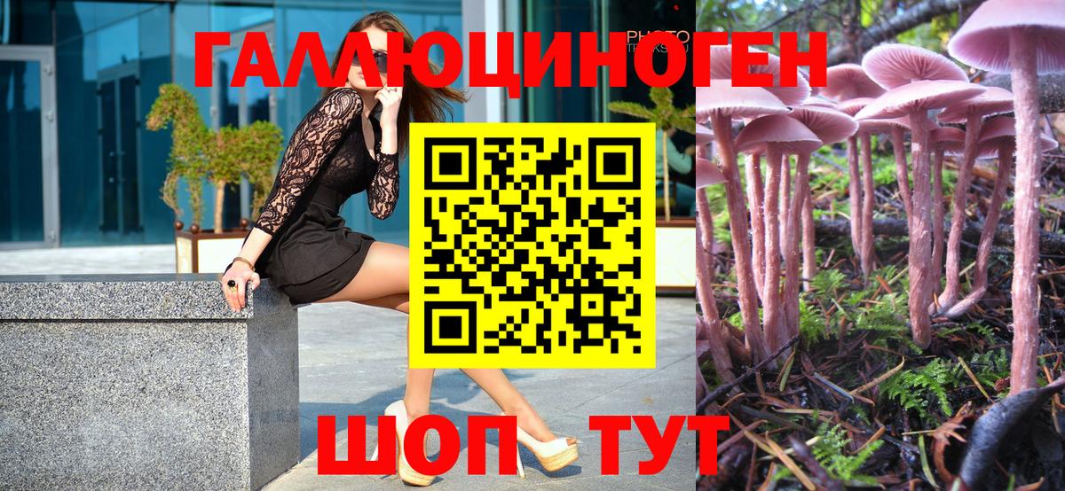 Псилоцибиновые грибы ЛСД  цена   Алушта  Галлюциногенные грибы Magic Shrooms  Вход с VPN 